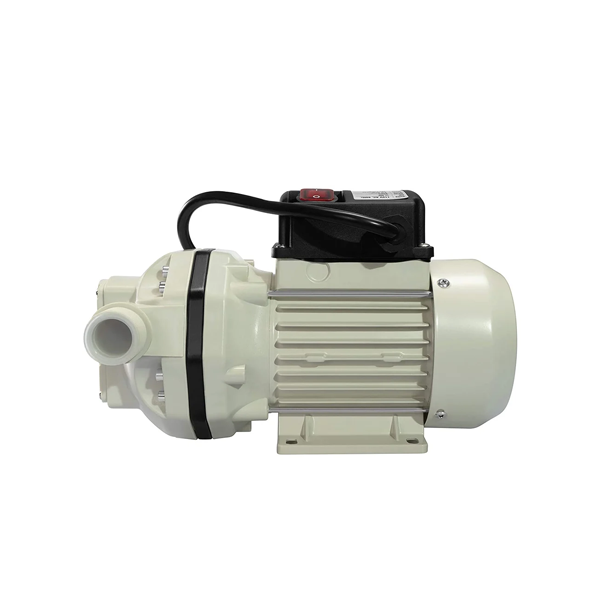 Piusi Membrane Adblue 240V