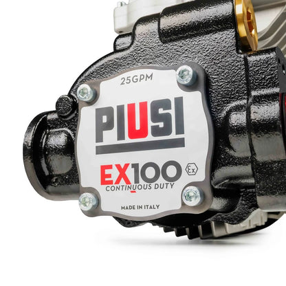 Piusi EX100 240V - Petrol, Diesel &amp; Kerosene